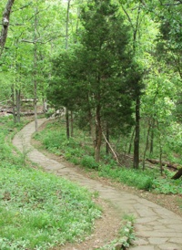שולי לניר - מהו טיפול פסיכולוגי