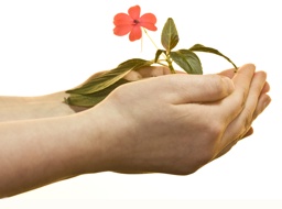 שולי לניר - שיטות טיפול