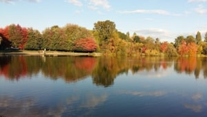טיפול מבוסס מיינדפולנס